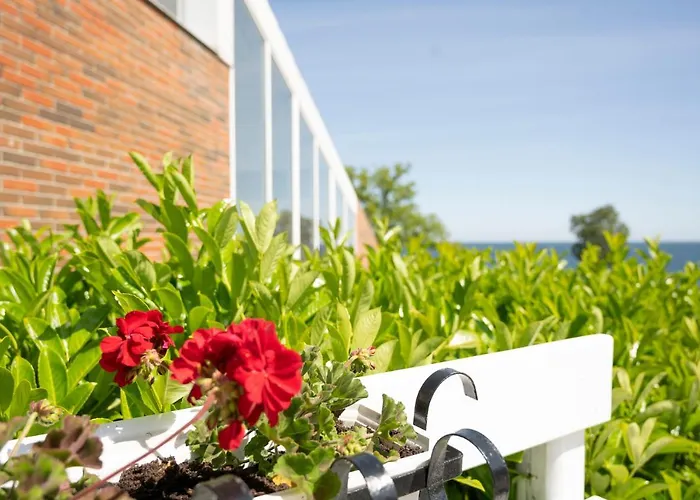 ホテル Friheden アリンエ